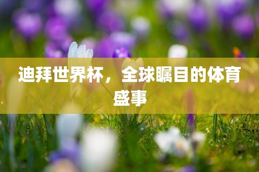 迪拜世界杯，全球瞩目的体育盛事