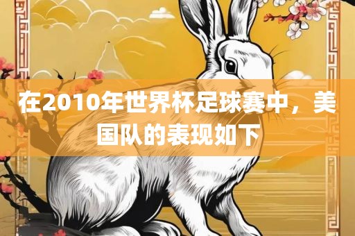在2010年世界杯足球赛中，美国队的表现如下