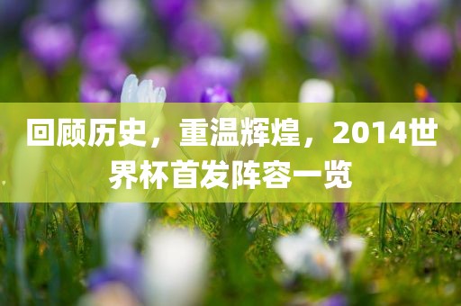 回顾历史，重温辉煌，2014世界杯首发阵容一览