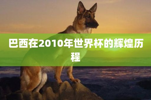 巴西在2010年世界杯的辉煌历程