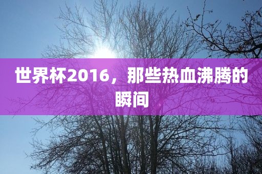 世界杯2016，那些热血沸腾的瞬间
