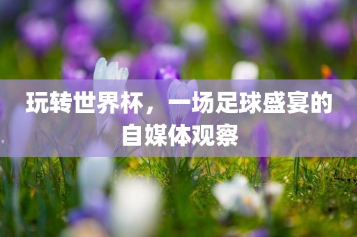 玩转世界杯，一场足球盛宴的自媒体观察