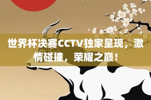 世界杯决赛CCTV独家呈现，激情碰撞，荣耀之巅！
