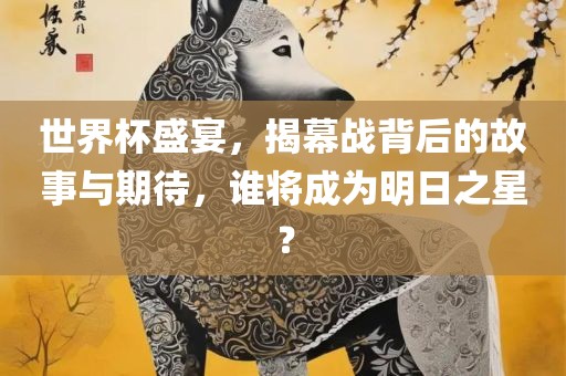 世界杯盛宴，揭幕战背后的故事与期待，谁将成为明日之星？