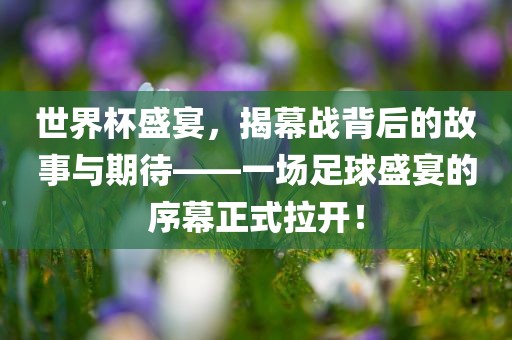 世界杯盛宴，揭幕战背后的故事与期待——一场足球盛宴的序幕正式拉开！