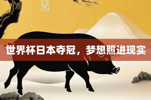 世界杯日本夺冠，梦想照进现实