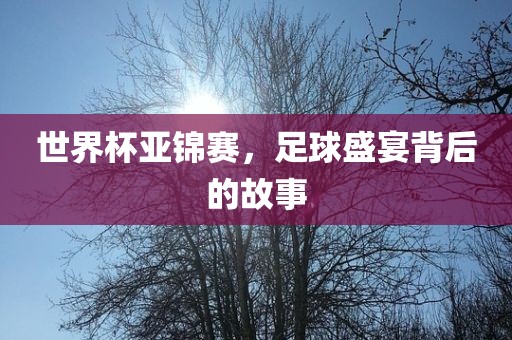 世界杯亚锦赛，足球盛宴背后的故事