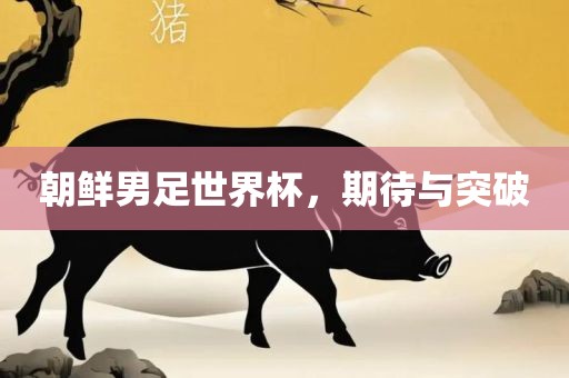 朝鲜男足世界杯，期待与突破