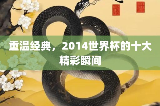 重温经典，2014世界杯的十大精彩瞬间