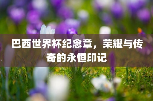 巴西世界杯纪念章，荣耀与传奇的永恒印记