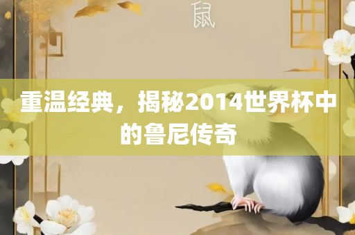 重温经典，揭秘2014世界杯中的鲁尼传奇