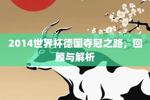 2014世界杯德国夺冠之路，回顾与解析