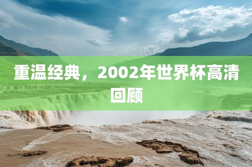重温经典，2002年世界杯高清回顾