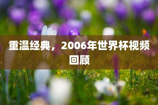 重温经典，2006年世界杯视频回顾