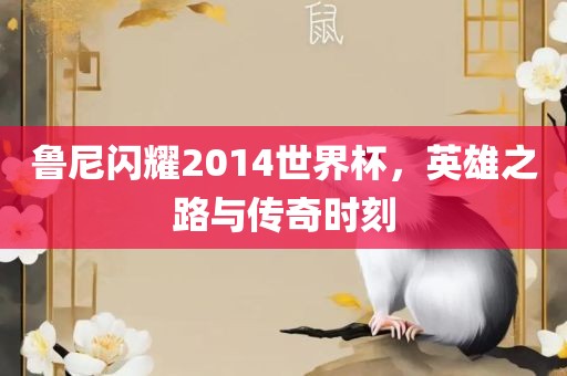 鲁尼闪耀2014世界杯，英雄之路与传奇时刻