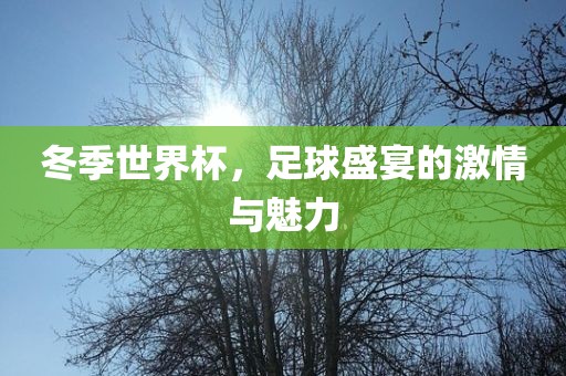 冬季世界杯，足球盛宴的激情与魅力