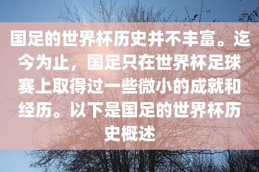 国足的世界杯历史并不丰富。迄今为止，国足只在世界杯足球赛上取得过一些微小的成就和经历。以下是国足的世界杯历史概述