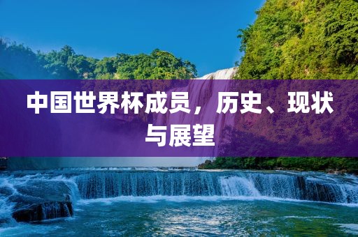 中国世界杯成员，历史、现状与展望