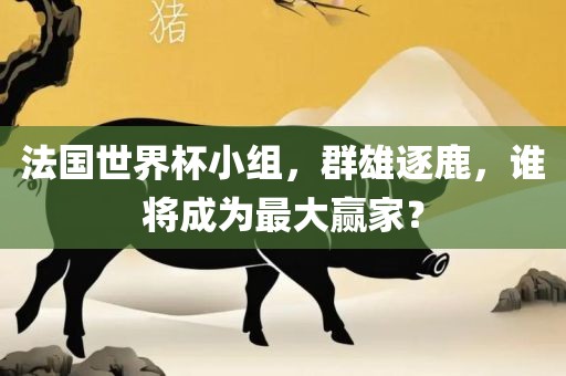 法国世界杯小组，群雄逐鹿，谁将成为最大赢家？