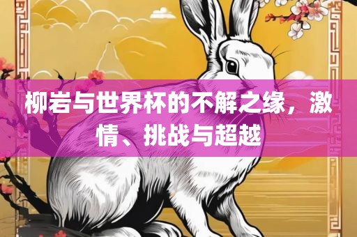 柳岩与世界杯的不解之缘，激情、挑战与超越