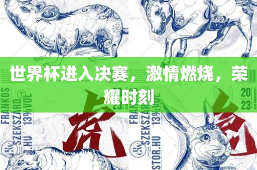 世界杯进入决赛，激情燃烧，荣耀时刻