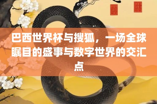 巴西世界杯与搜狐，一场全球瞩目的盛事与数字世界的交汇点