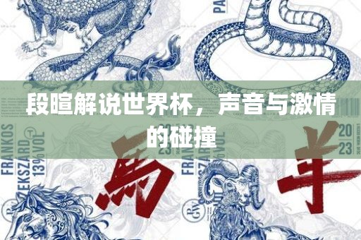 段暄解说世界杯，声音与激情的碰撞
