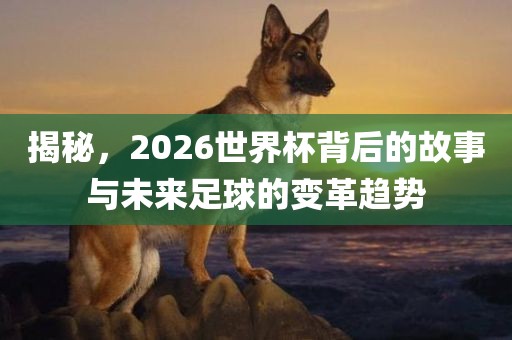 揭秘，2026世界杯背后的故事与未来足球的变革趋势