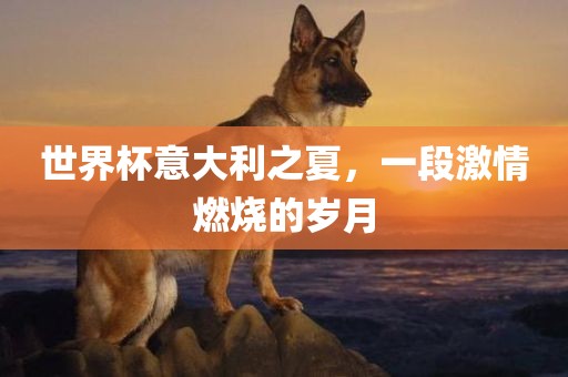世界杯意大利之夏，一段激情燃烧的岁月