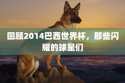 回顾2014巴西世界杯，那些闪耀的球星们
