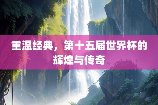 重温经典，第十五届世界杯的辉煌与传奇