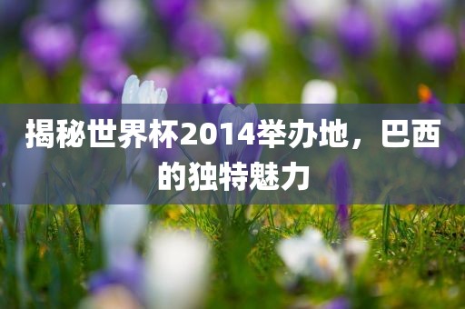 揭秘世界杯2014举办地，巴西的独特魅力