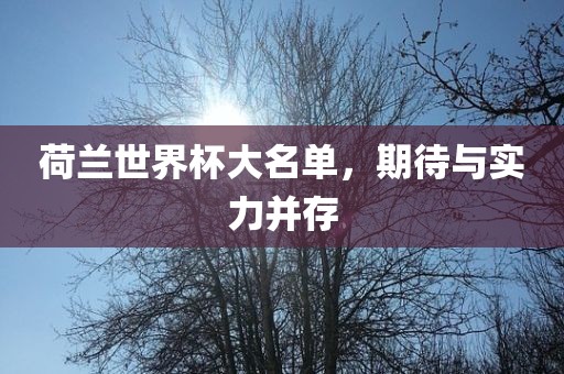 荷兰世界杯大名单，期待与实力并存