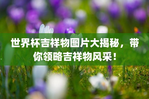 世界杯吉祥物图片大揭秘，带你领略吉祥物风采！