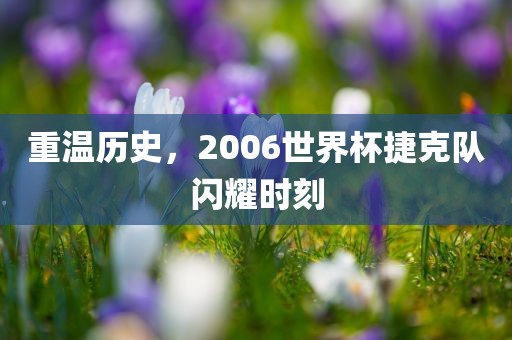重温历史，2006世界杯捷克队闪耀时刻