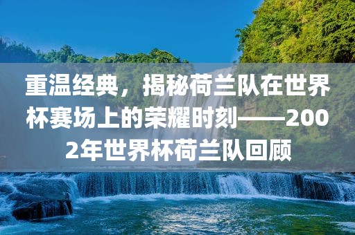 重温经典，揭秘荷兰队在世界杯赛场上的荣耀时刻——2002年世界杯荷兰队回顾