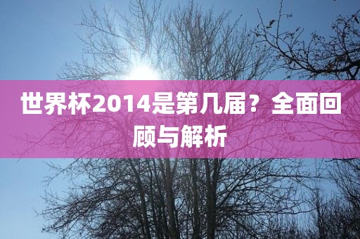 世界杯2014是第几届？全面回顾与解析