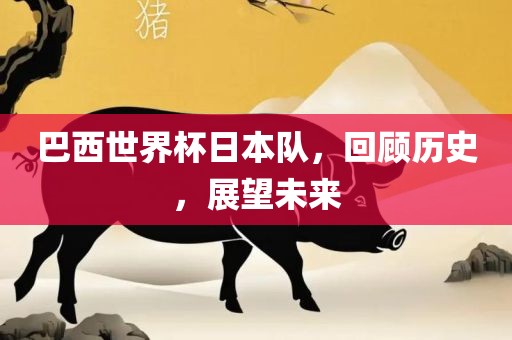 巴西世界杯日本队，回顾历史，展望未来