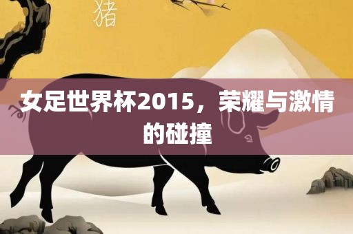 女足世界杯2015，荣耀与激情的碰撞