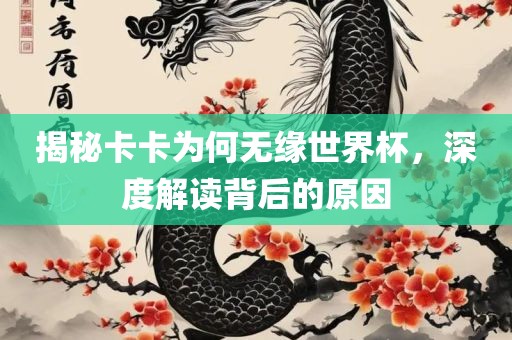 揭秘卡卡为何无缘世界杯，深度解读背后的原因