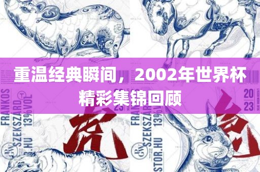 重温经典瞬间，2002年世界杯精彩集锦回顾