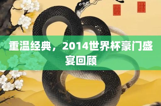 重温经典，2014世界杯豪门盛宴回顾