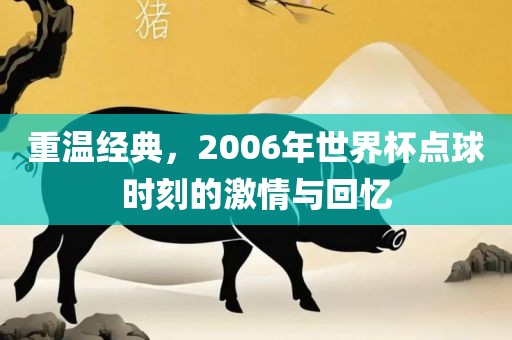 重温经典，2006年世界杯点球时刻的激情与回忆