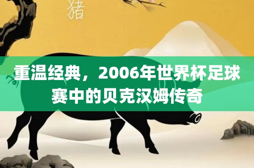 重温经典，2006年世界杯足球赛中的贝克汉姆传奇