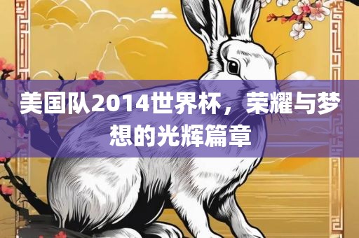 美国队2014世界杯，荣耀与梦想的光辉篇章