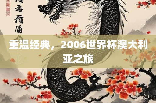 重温经典，2006世界杯澳大利亚之旅