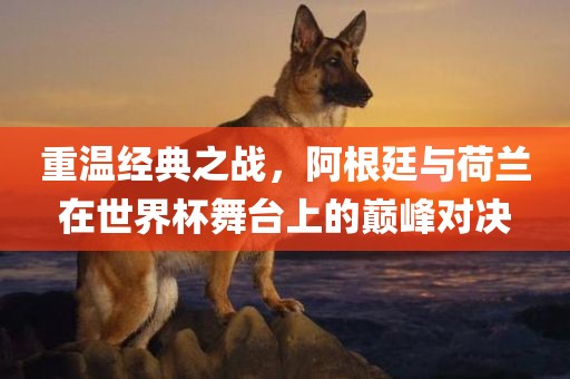 重温经典之战，阿根廷与荷兰在世界杯舞台上的巅峰对决