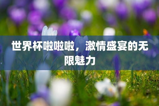 世界杯啦啦啦，激情盛宴的无限魅力
