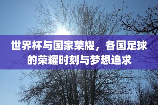 世界杯与国家荣耀，各国足球的荣耀时刻与梦想追求