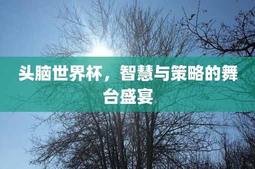 头脑世界杯，智慧与策略的舞台盛宴